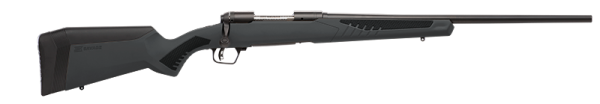 Savage Arms 110 Hunter 204 Ruger